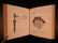 1889 1st ed Mark TWAIN Connecticut Yankee in King Arthu - 7