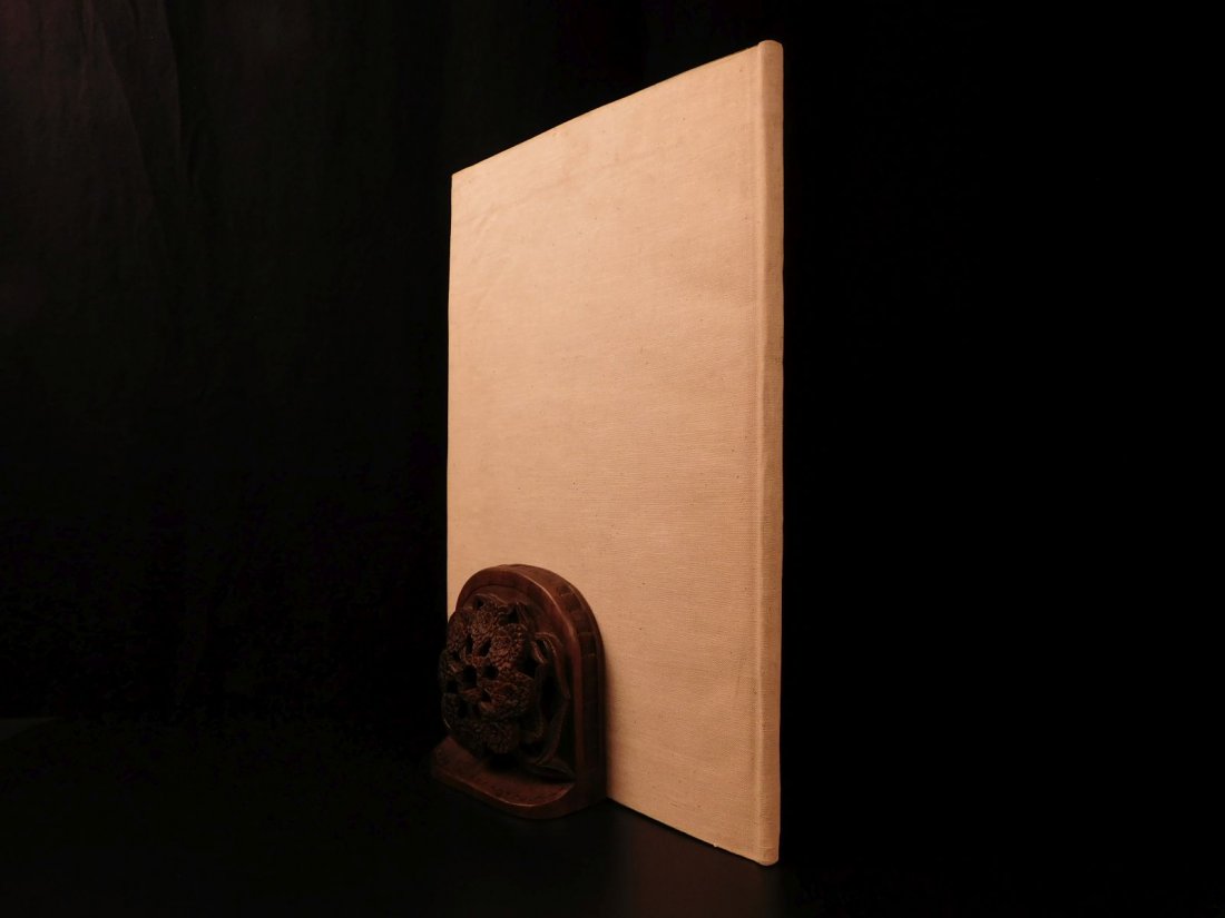 1850 ENORMOUS Illustrated MEDICINE Anatomy Surgery (1 of 20)