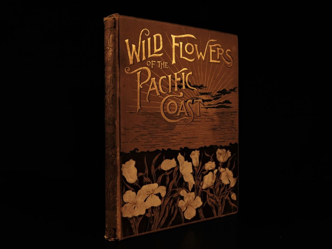 1887 Wild Flowers Pacific Coast California Oregon: 1887 Wild Flowers Pacific Coast California Oregon Seattle Washington Botanical Emma H Thayer was a 19th-century American artist most known for her visualizations of American wildflowers. ‘Wild Flowe