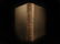 1889 1ed Morrow Medical Atlas Skin & Venereal Diseases - 3
