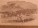 1861 Indian Wars Texas & Mexico Frost Native American - 8