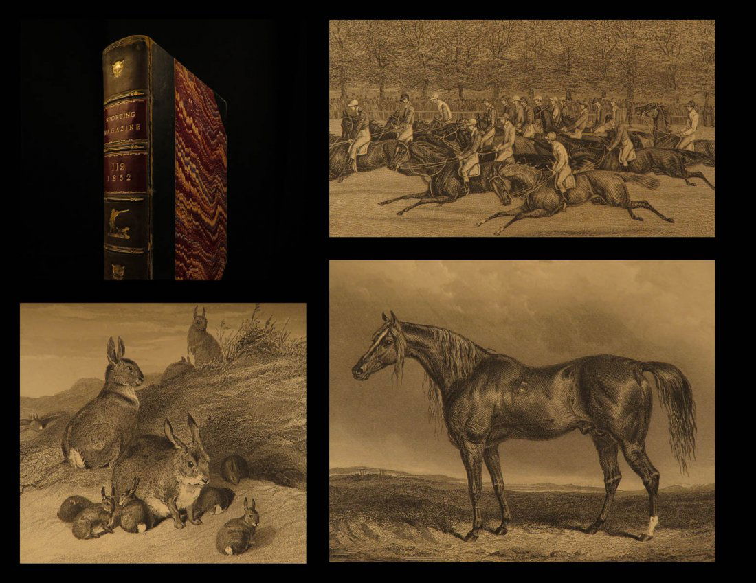 1852 1st ed Sporting Magazine Fox Hunting Dog Fighting (1 of 10)