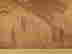 item-70616688=10