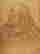 item-70616688=7