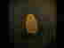 item-71231307=3