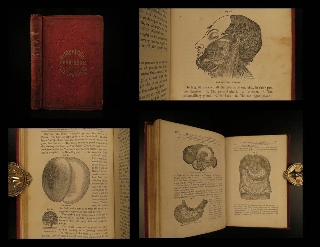 1854 1ed Healthy Cookbook Hygiene Recipes health (1 of 10)