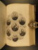 1867 Confederate Lost Cause CIVIL WAR Slavery CSA - 7