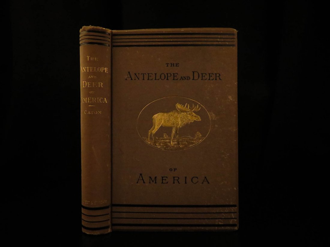 1877 RARE Antelope & Deer of America Big Game HUNTING (1 of 9)