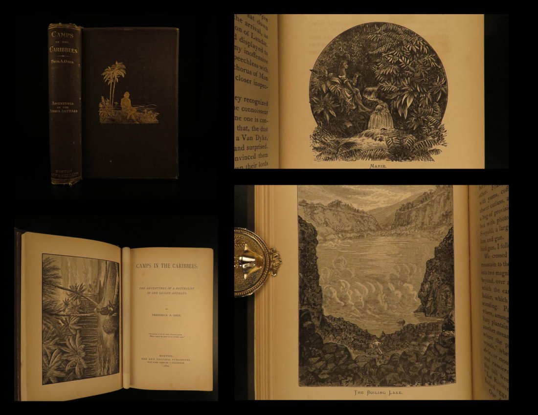 1880 1ed Caribbean Caribbees & Antilles Illustrated: 1880 1ed Caribbean Caribbees & Antilles Illustrated Natural Science BIRDS Ober ‘Camps in the Caribbees’ is an account of Frederic Ober and his experiences in the Lesser Antilles. Ober sought out n