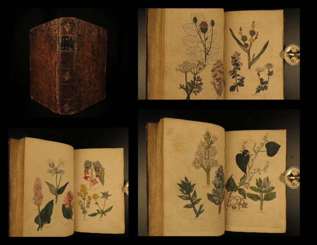 1812 1ed John Hill HERBAL Medicine Plants Flowers Color (1 of 10)