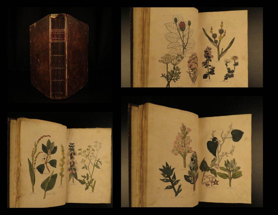 1812 1ed John Hill HERBAL Medicine Plants Flowers Color (1 of 20)