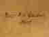 item-74185145=2