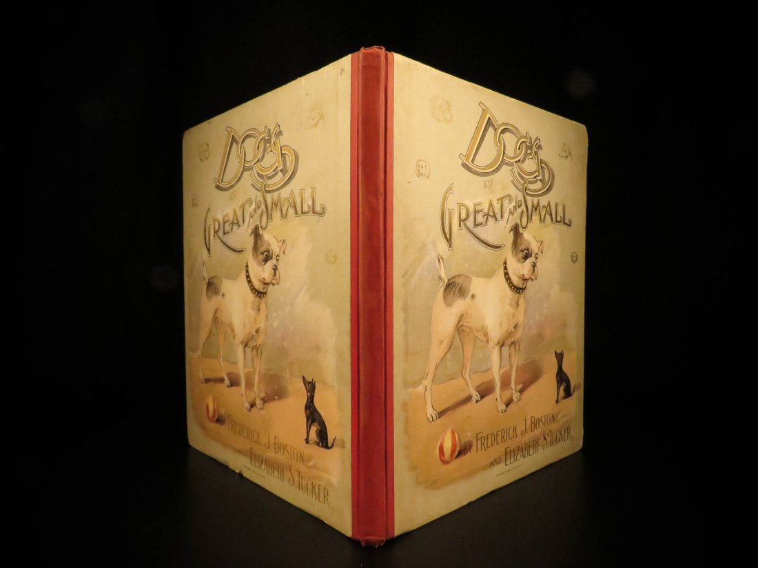 1895 1st ed Dogs Great & Small Color Illustrated (1 of 10)