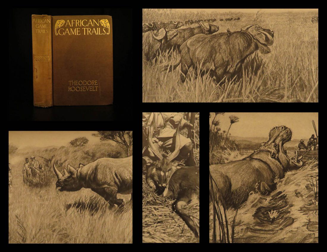 1910 1ed Theodore Roosevelt Illustrated Africa Big Game (1 of 10)