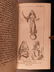 1739 1ed Occult Astronomy Astrology Cosmogony Egyptian - 5