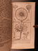 1739 1ed Occult Astronomy Astrology Cosmogony Egyptian - 7