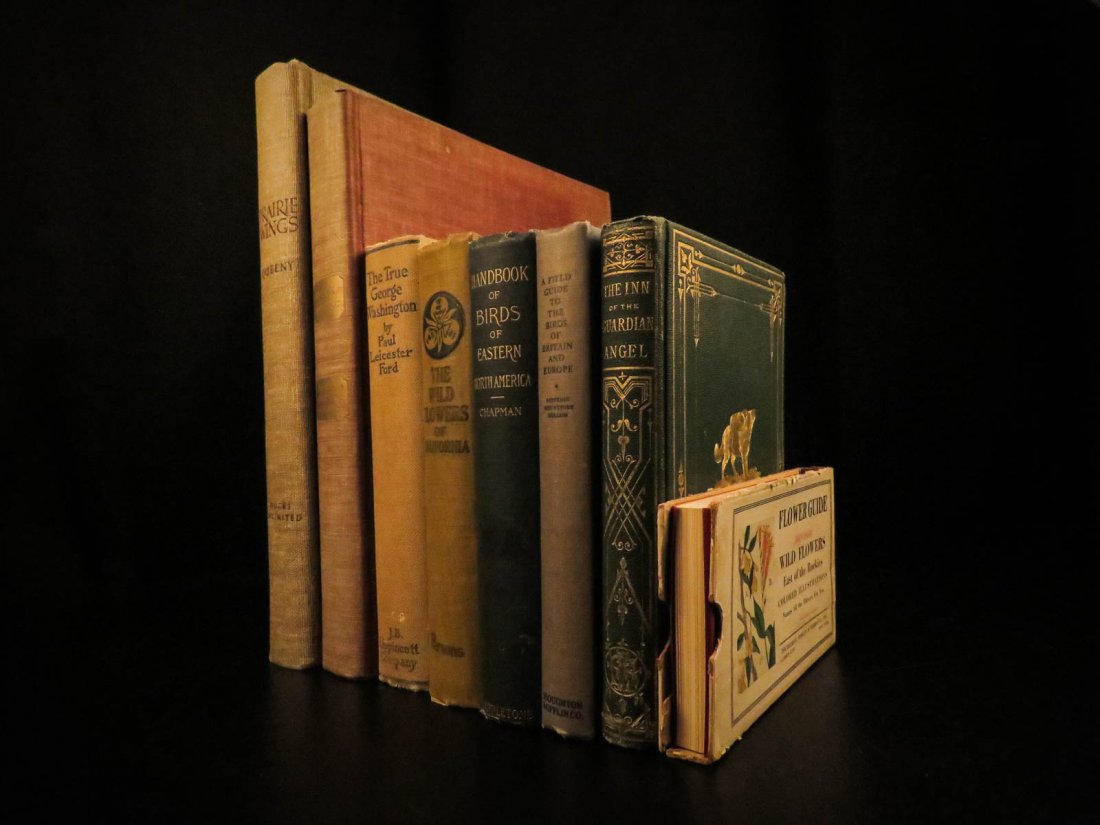 1895 8 Book Lot Cloth Binding Hunting George Washington (1 of 10)