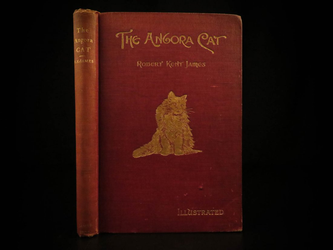 1898 CATS 1ed Turkish Angora Cat Breeding Training (1 of 10)