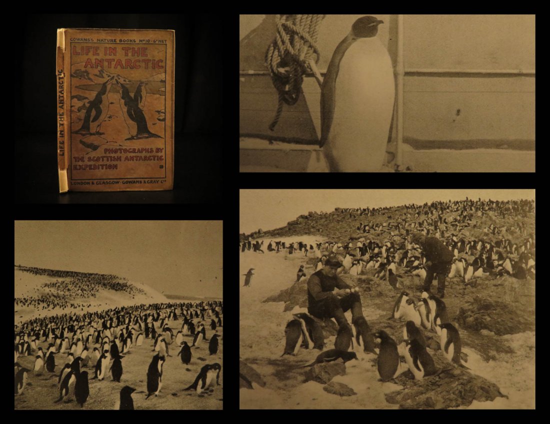 1907 1ed Scottish Antarctic Expedition Illustrated: 1907 1ed Scottish Antarctic Expedition Illustrated ARCTIC Voyage Penguins Birds ‘Life in the Antarctic’, by members of the Scottish National Antarctic Expedition, was produced to help sell photogr