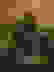 item-79482698=6