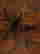 item-80166632=4