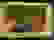 item-80167053=7