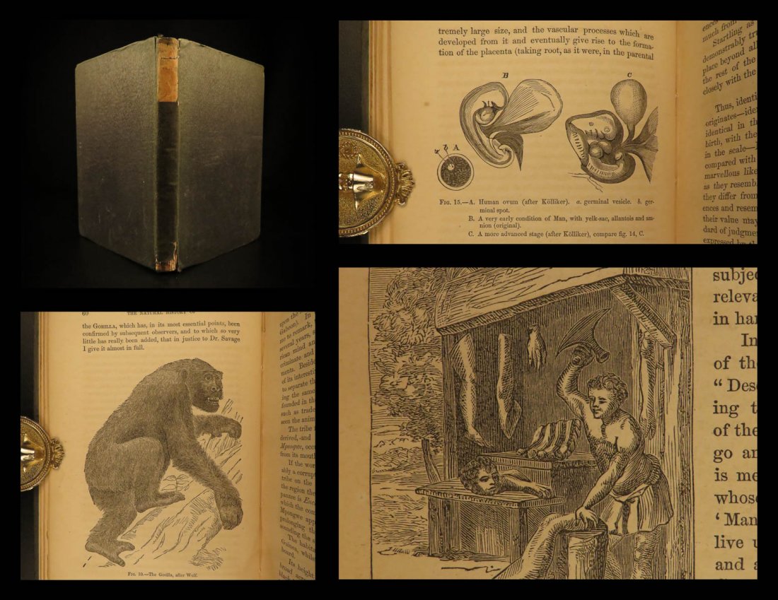 1863 1ed Thomas Huxley Man’s Place in Nature EVOLUTION (1 of 10)