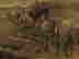 item-80845534=8