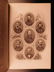 1869 1st ed Confederate Navy Memoirs of Raphael Semmes - 8