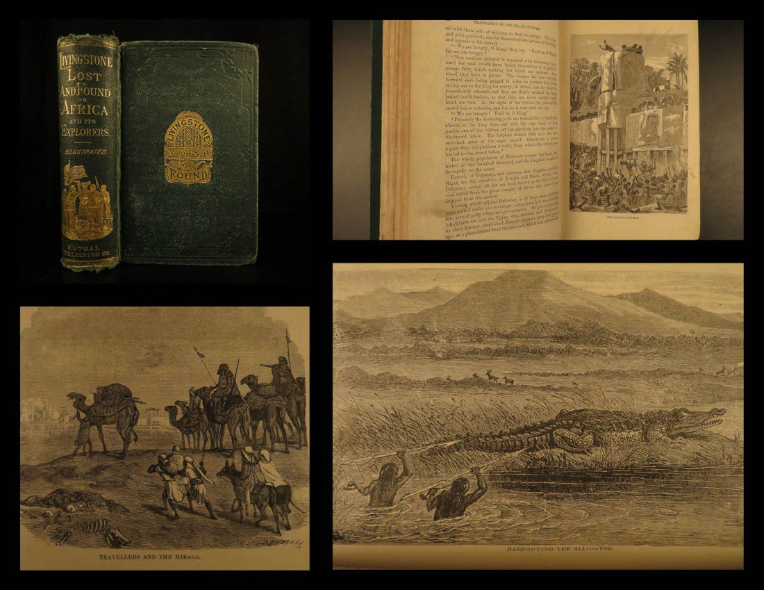 1873 AFRICA Livingstone Lost & Found Missionary Zambezi (1 of 10)