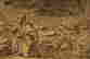 item-83971176=9