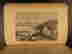 item-85781812=8