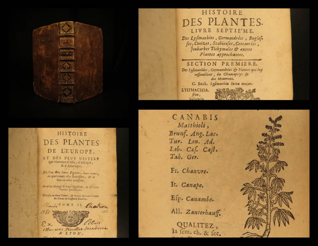1689 HERBAL Botany Bauhin Plants Asia Africa America (1 of 10)