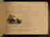 item-88086396=7