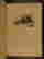 item-89198774=4