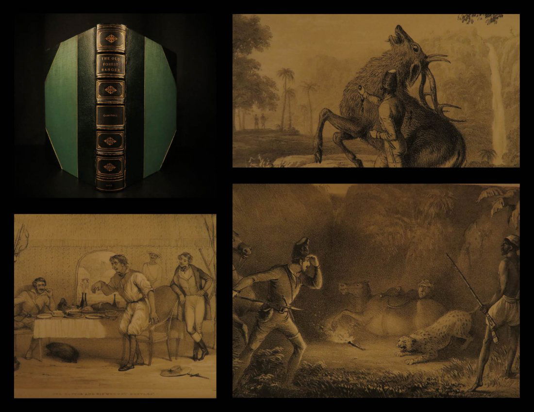1845 INDIA Wild Sports Big Game Hunting Jungle Tigers (1 of 10)