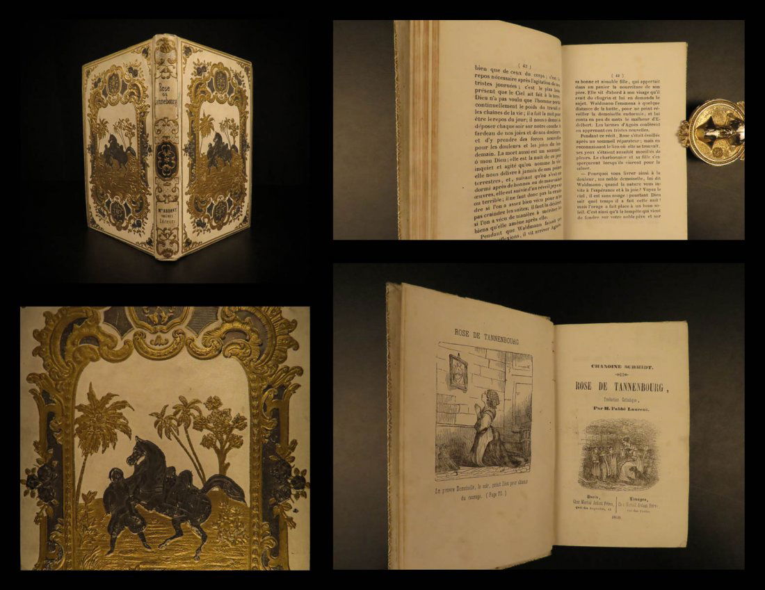 1850 Rose of Tannenberg by Christoph Schmid Juvenile (1 of 10)