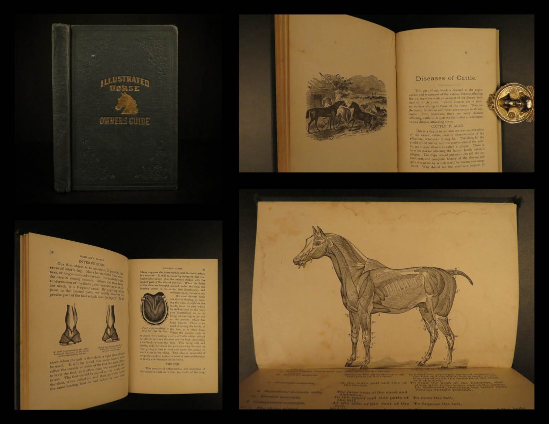 1879 Illustrated Horse Owners Guide Equestrian (1 of 10)
