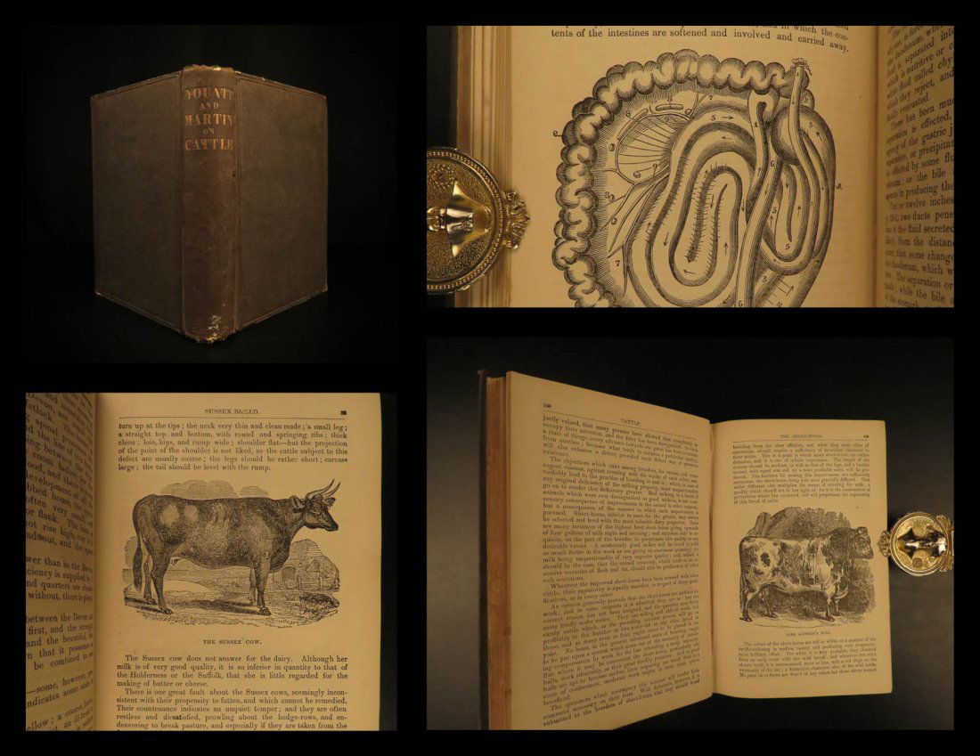 1851 1ed Cattle Farming Veterinary Medicine Horses Cow (1 of 10)