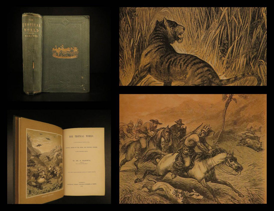 1863 The Tropical World Zoology Botony PERU Brazil (1 of 9)