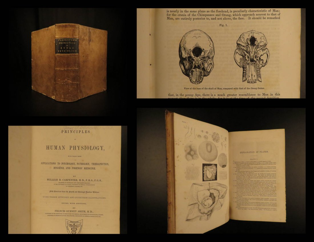 1853 Principles Human Physiology Anatomy Illustrated (1 of 10)