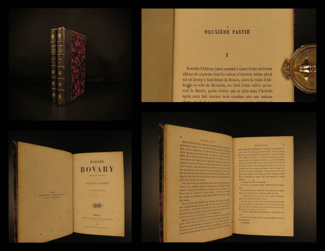 1858 Madame Bovary Gustave Flaubert French Literature (1 of 10)