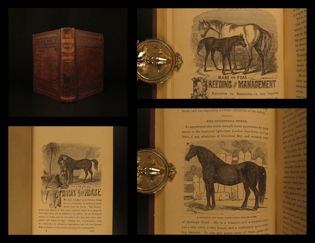 1860 1st ed HORSES Veterinary Medicine Diseases Farming: 1860 1st ed HORSES Veterinary Medicine Diseases Farming Illustrated Equestrian Robert Jennings’ “Horse and His Diseases” is a 19th-century treatise on veterinary medicine as it pertains to horse