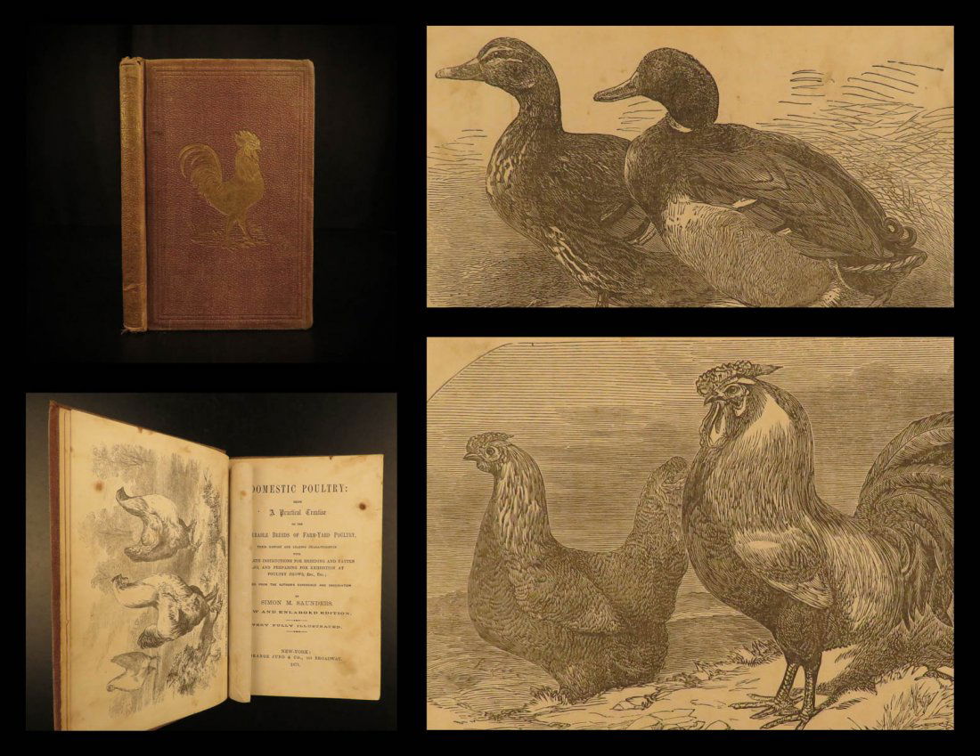 1871 Chicken Farm Guide Domestic Poultry Saunders (1 of 10)