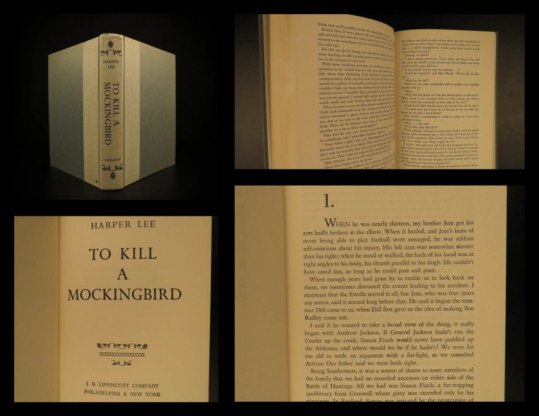 1960 1ed To Kill A Mockingbird Harper Lee RACISM (1 of 10)
