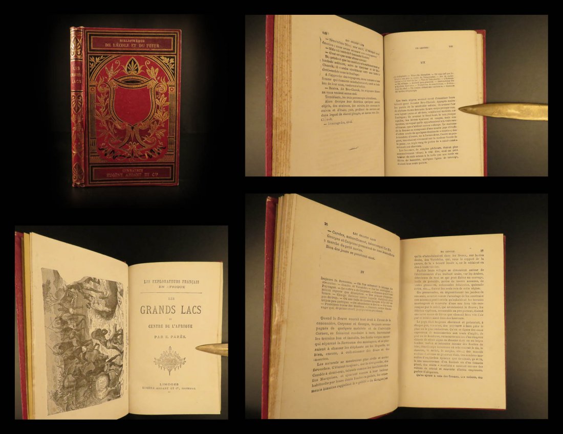 1881 BEAUTIFUL BINDING African Lakes & Geography (1 of 10)