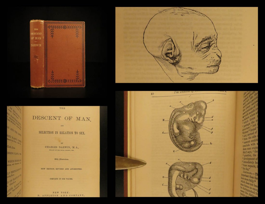 1886 Charles Darwin Descent of Man Evolution (1 of 10)