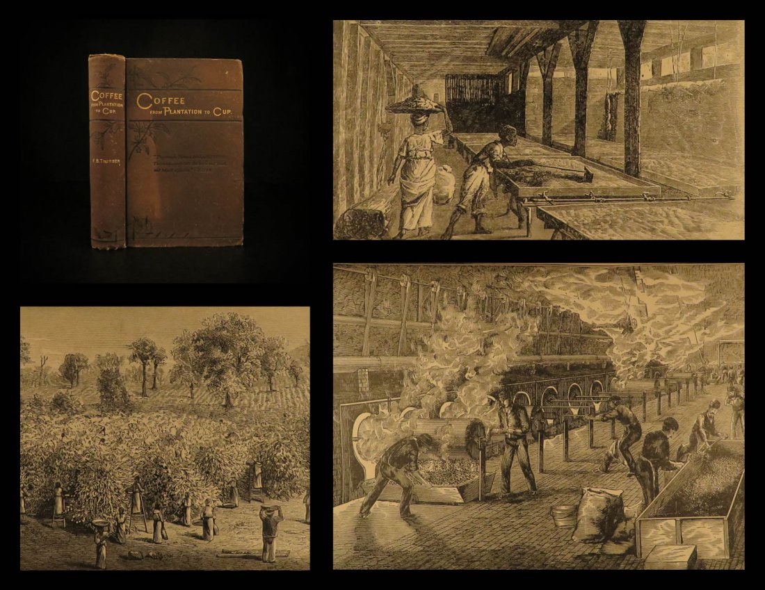 1884 COFFEE Thurber Plantation India Brazil Africa: 1884 COFFEE Thurber Plantation India Brazil Africa Brewing Mocha Illustrated Francis Thurber’s ‘Coffee’ is a brief history of the production and consumption of coffee. Thurber includes informati