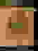 item-102946033=4