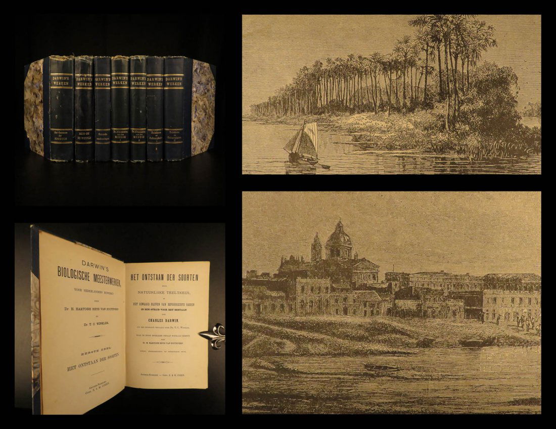 1890 Charles Darwin EVOLUTION Science Origin of Species (1 of 10)